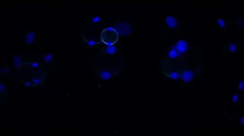 Soap Bubbles Real 240fps UV 2 Stock-Footage 47280121
