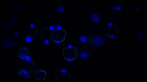 Soap Bubbles Real 240fps UV 3 Stock Footage 47280350