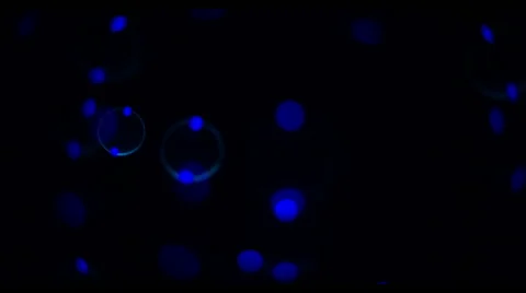 Soap Bubbles Real 240fps UV 4 Stock-Footage 47281097