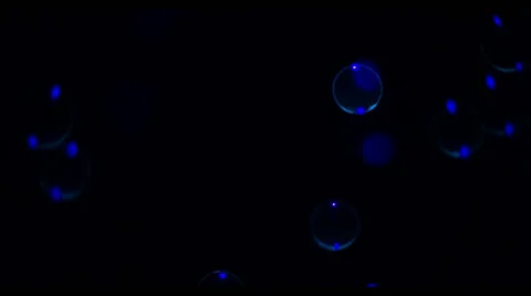 Soap Bubbles Real 240fps UV 7 Stock Footage 47281663