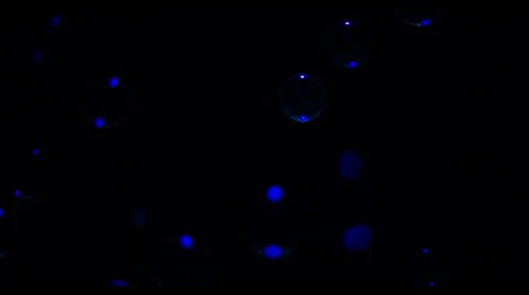 Soap Bubbles Real 240fps UV 9 Stock Footage 47282364