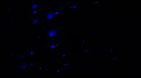 Soap Bubbles Real 240fps UV 24 Stock-Footage 47284038