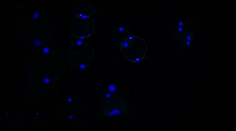 Soap Bubbles Real 240fps UV 25 Video stock 47284093