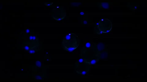 Soap Bubbles Real 240fps UV 26 Video stock 47284513