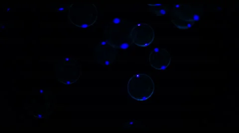 Soap Bubbles Real 240fps UV 29 Stock Footage 47285389