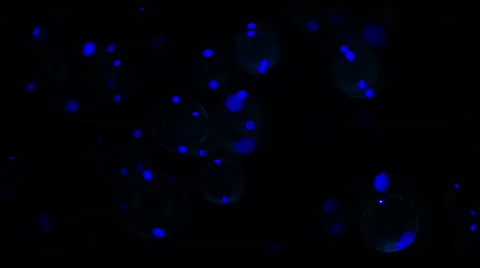 Soap Bubbles Real 240fps UV 30 Stock Footage 47285591