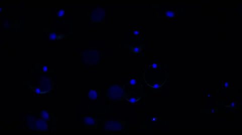 Soap Bubbles Real 240fps UV 10 Stock Footage 47287004