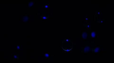 Soap Bubbles Real 240fps UV 12 Stock Footage 47287664