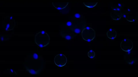 Soap Bubbles Real 240fps UV 16 Stock Footage 47287978