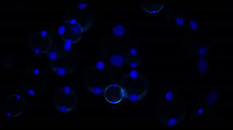 Soap Bubbles Real 240fps UV 17 Stock Footage 47288100