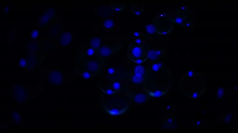 Soap Bubbles Real 240fps UV 19 Stock Footage 47288502