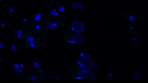 Soap Bubbles Real 240fps UV 20 Video stock 47288984