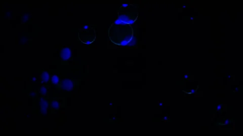 Soap Bubbles Real 240fps UV 22 Stock Footage 47289263