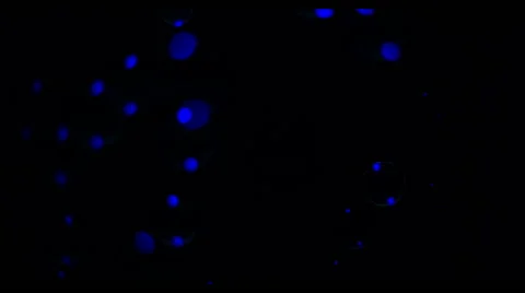 Soap Bubbles Real 240fps UV 23 Video stock 47289349