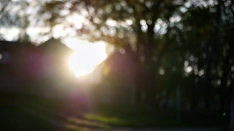 Soap bubbles in the setting sun beautiful background with soap bubbles  Stock Footage 201421995