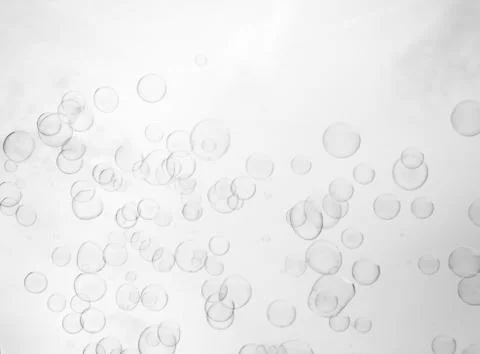Soap bubbles on sky background Stock Photos