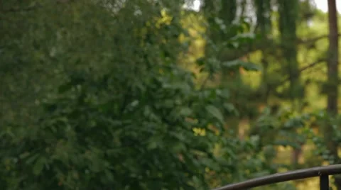 Soap Bubbles Soaring In The Air Stock Footage 52427758