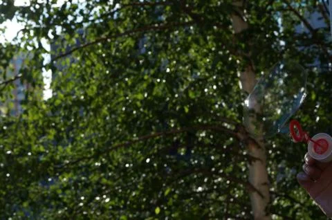 Soap bubbles in summer Stock Photos