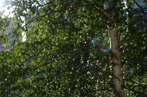Soap bubbles in summer Stock Photos