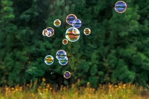 Soap bubbles in sun. Summer vacation and entertainment. Outdoor recreation Stock Photos