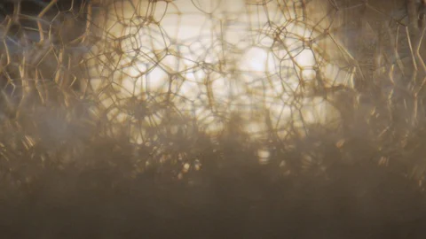 Soap bubbles in a transparent jar in the background light Stock Footage 118969668