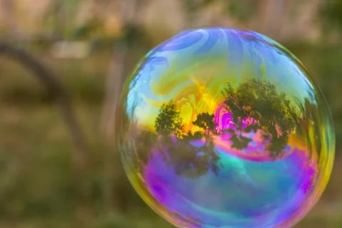 Soap bubbles in yard Foto stock