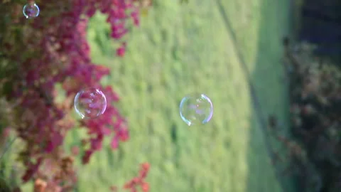 Soap bubles autumn Stock Footage 161838309
