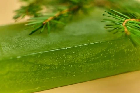 Soap with needles branches on the white background Stock Photos