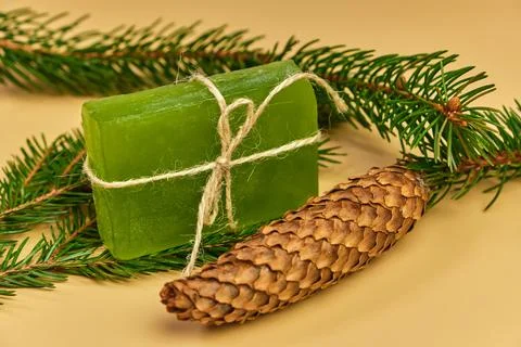Soap with needles branches on the white background Stock Photos