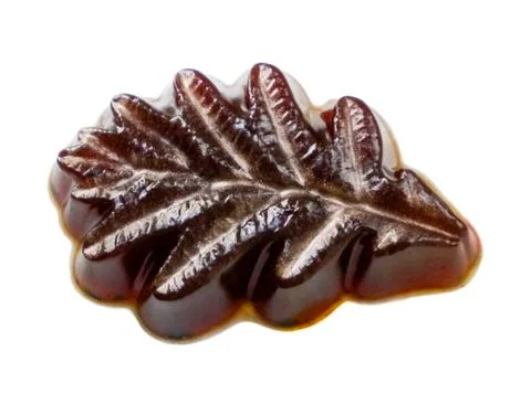 Soap oak leaf Stock Photos