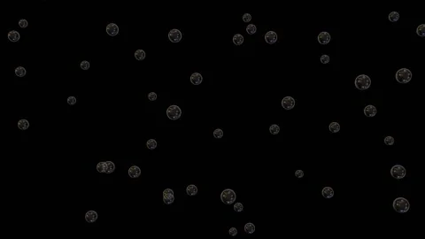 Soap rainbow bubbles rise steadily against a black background. Stock Footage 154318291