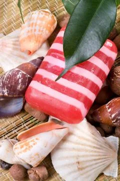 Soap with seashells macro Stock-Fotos