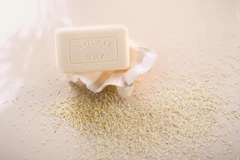 Soap on the shell Stock Photos