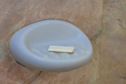 Soap in soap dish Stock Photos