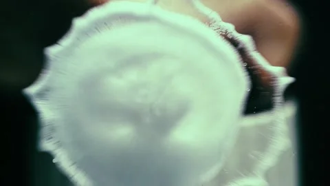 Soap Splatters on Lens Stock Footage 300884602