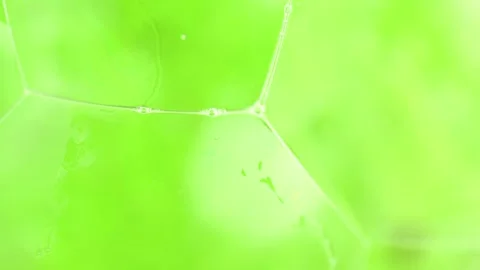 Soap sud macro structure. Green foam soap with bubbles, rotates abstract ba.. Stock Footage 255599061