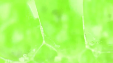 Soap sud macro structure. Green foam soap with bubbles, rotates abstract ba.. Stock Footage 256164325