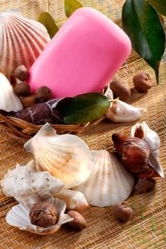 Soap in a wicker basket with seashells Stock Photos
