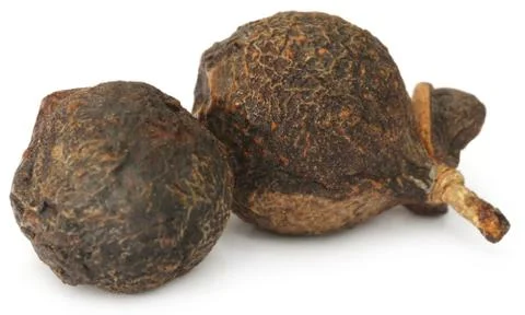 Soapnuts or Soapberries Stock Photos