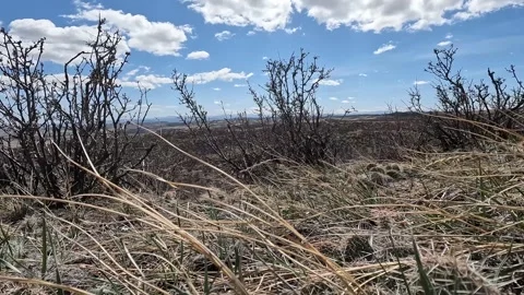 Soapstone Prairie Natural Area Stock Footage 249642653