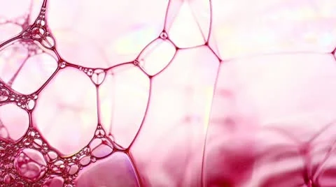 Soapsuds Stock Footage 10838186