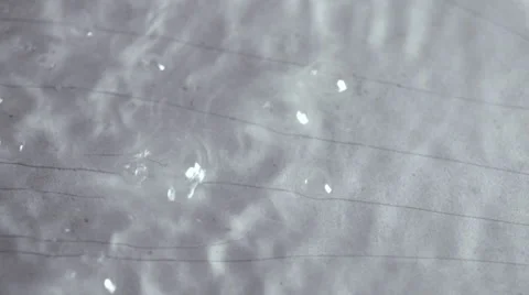 Soapy foam on the surface of the water 스톡 동영상 64726775