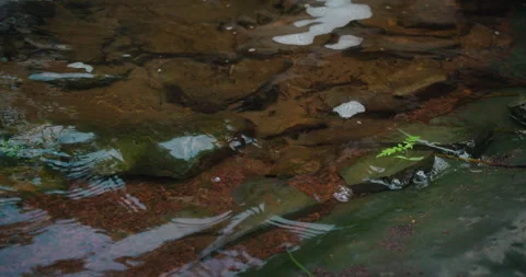 Soapy water close-up. Cleaning of drains. Sewage treatment plant. Stock Footage 238486252