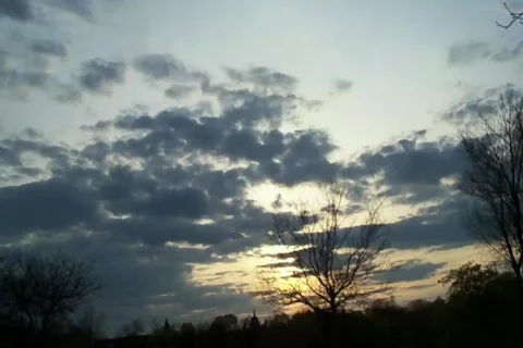 Soar 스톡 동영상 378772