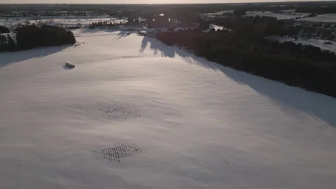 Soar high look up to the sky. Stock Footage 244729665