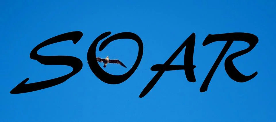 SOAR Stock Illustration