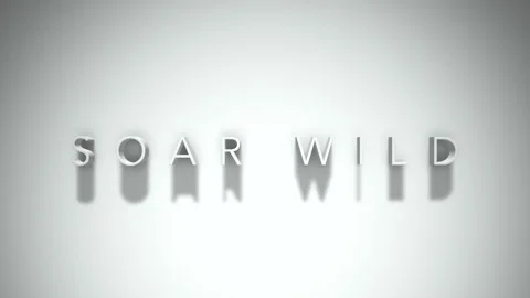 Soar wild 3D title animation with shadows on a white background Stock Footage 296859983