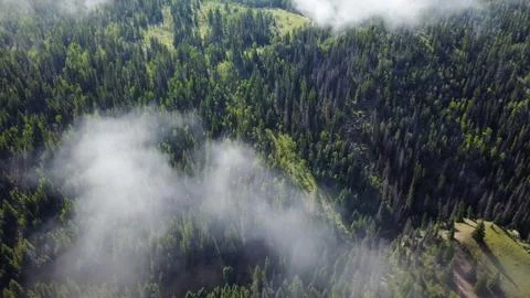 Soaring above the clouds Stock Photos