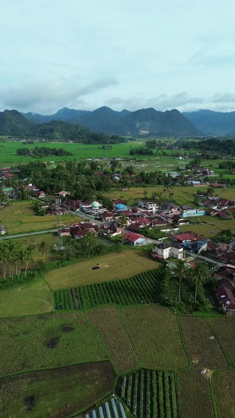 Soaring above serene highland settlements, revealing expansive emerald fiel.. Video stock 337277798