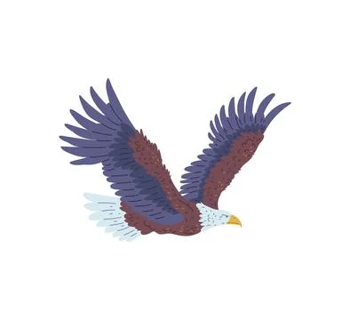Soaring American Bald Eagle, vector illustration on isolated background. Stock Illustration